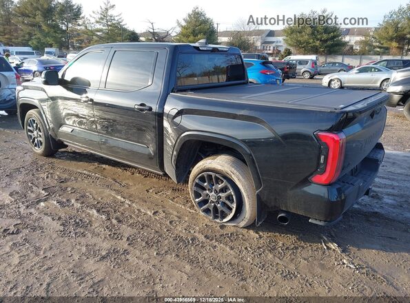 5TFNC5DB9RX073099 2024 TOYOTA TUNDRA HYBRID Black Задня ліва чверть