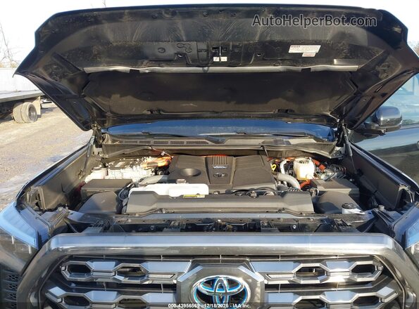 5TFNC5DB9RX073099 2024 TOYOTA TUNDRA HYBRID Black Вид ззаду