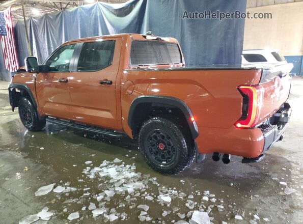 5TFPC5DB2RX081926 2024 TOYOTA LIMITED Orange 