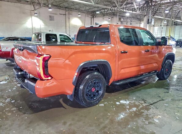 5TFPC5DB2RX081926 2024 TOYOTA LIMITED Orange Tył prawy