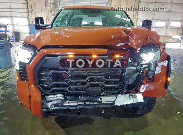 5TFPC5DB2RX081926 2024 TOYOTA LIMITED Orange Widok z przodu