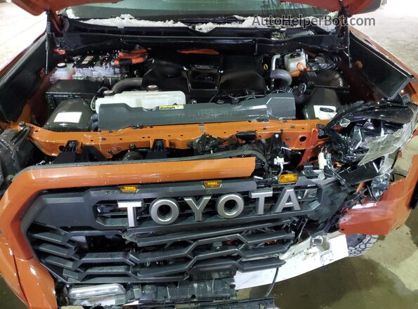 5TFPC5DB2RX081926 2024 TOYOTA LIMITED Orange Widok naklejki z numerem VIN