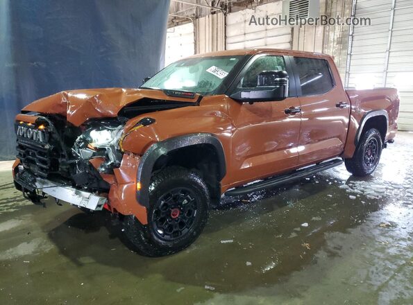 5TFPC5DB2RX081926 2024 TOYOTA LIMITED Orange 