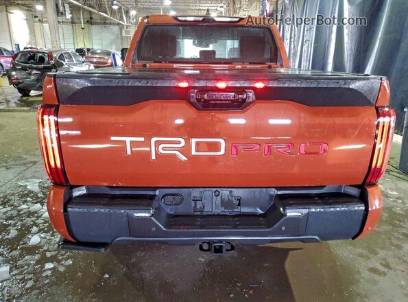 5TFPC5DB2RX081926 2024 TOYOTA LIMITED Orange Widok z tyłu
