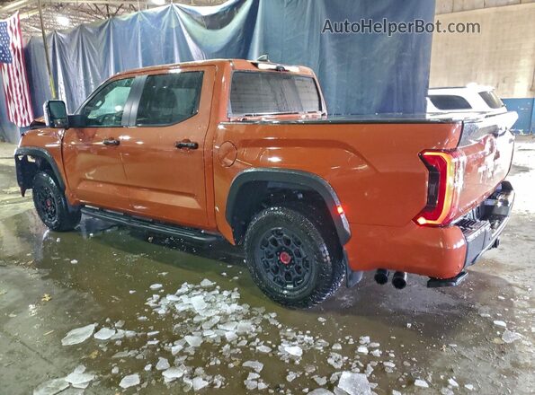 5TFPC5DB2RX081926 2024 TOYOTA LIMITED Orange Tył lewy