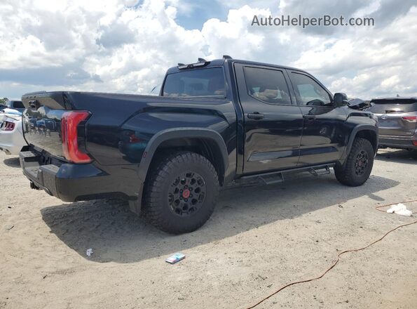 5TFPC5DB5SX087404 2025 TOYOTA LIMITED Black Հետևի աջ