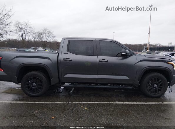 5TFWA5DB3RX213741 2024 TOYOTA LIMITED Gray Սալոնի հետևի տեսք