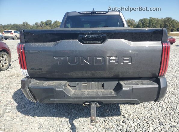 5TFWC5DB1RX068659 2024 TOYOTA LIMITED Gray Rear view