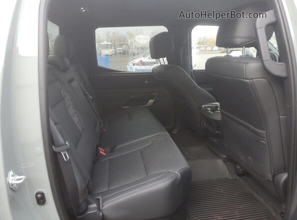 5TFWC5DB3SX110822 2025 TOYOTA LIMITED Gray Widok tylnych siedzeń