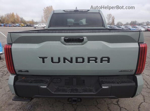 5TFWC5DB3SX110822 2025 TOYOTA LIMITED Gray Widok z tyłu