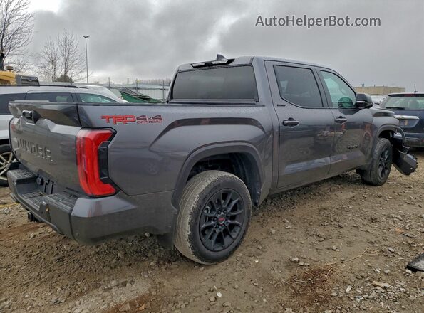 5TFWC5DB6RX041781 2024 TOYOTA LIMITED Серый Задняя правая четверть