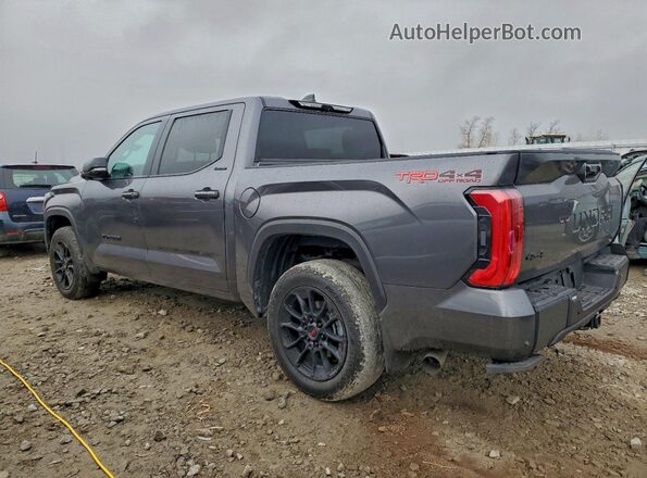 5TFWC5DB6RX041781 2024 TOYOTA LIMITED Серый Задняя левая четверть