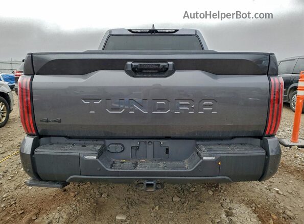 5TFWC5DB6RX041781 2024 TOYOTA LIMITED Серый Вид сзади