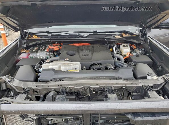 5TFWC5DB6RX041781 2024 TOYOTA LIMITED Серый Вид задней части салона
