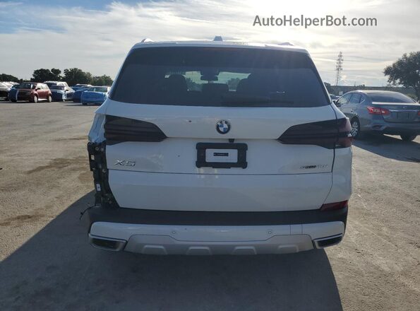 5UX13EU02S9Z35830 2025 BMW X5 White Вид ззаду