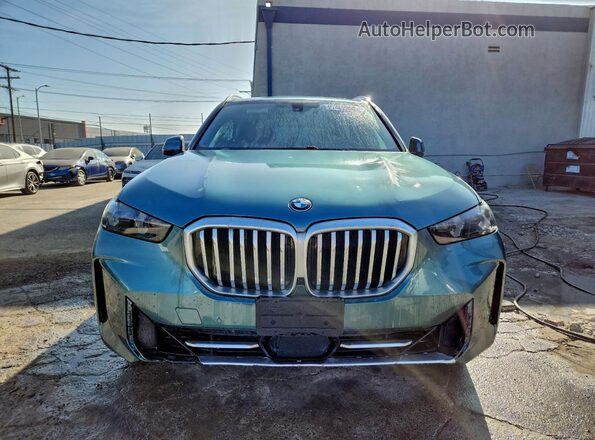 5UX13EU06R9S86382 2024 BMW X5 Green Вид ззаду