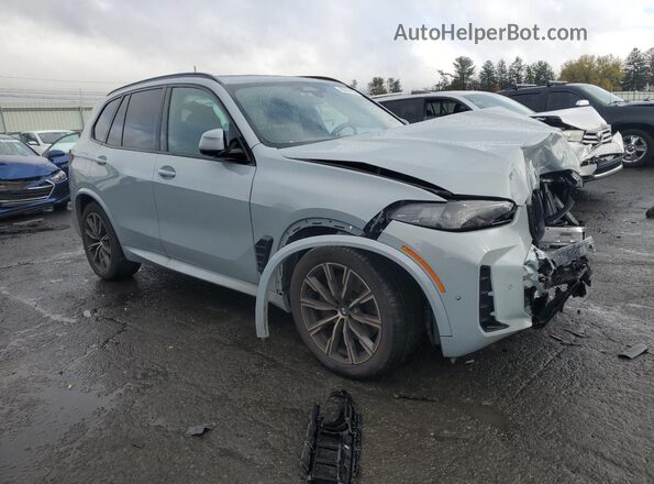 5UX23EU02R9W08861 2024 BMW X5 Gray Front right