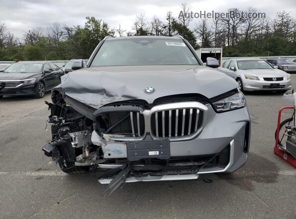 5UX23EU03R9S30873 2024 BMW X5 Silver Widok z przodu