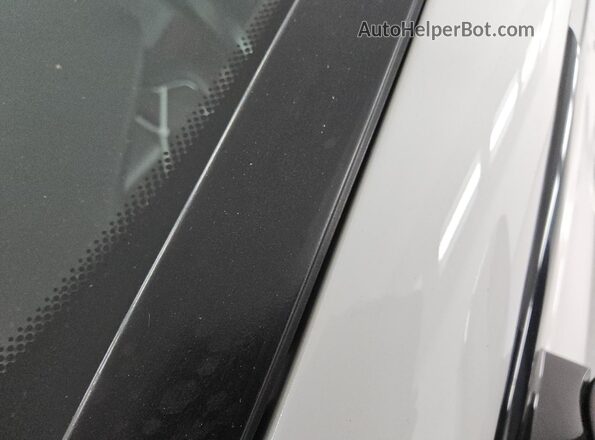 5UX2V1C04L9B65174 2020 BMW X4 Белый 
