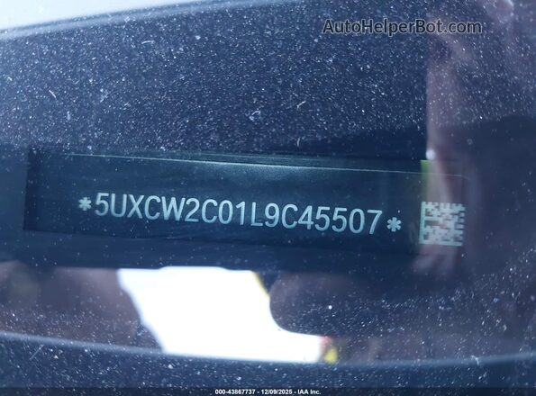 5UXCW2C01L9C45507 2020 BMW X7 Белый 