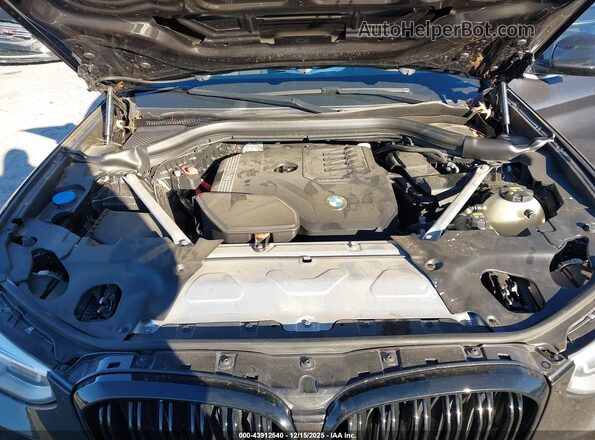 5UXTY5C05M9F93923 2021 BMW X3 Gray უკანა ხედი