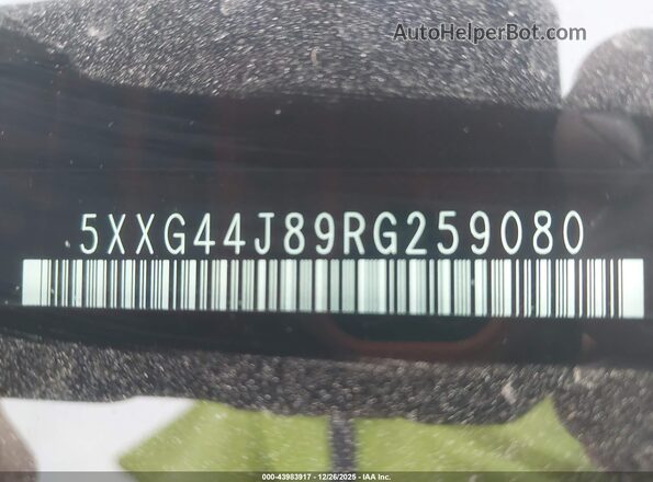 5XXG44J89RG259080 2024 KIA K5 Белый 