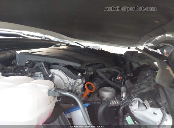 5XXG44J89RG259080 2024 KIA K5 Белый 