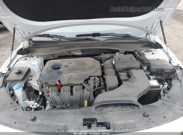 5XXGT4L3XLG393804 2020 KIA OPTIMA White Հետևի տեսք