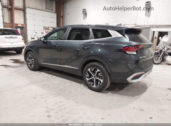 5XYK33DF9RG215951 2024 KIA SPORTAGE Gray უკანა მარცხენა