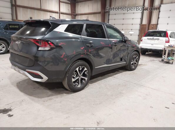 5XYK33DF9RG215951 2024 KIA SPORTAGE Gray უკანა მარჯვენა