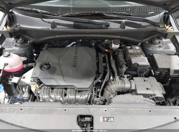 5XYK33DF9RG215951 2024 KIA SPORTAGE Gray უკანა ხედი