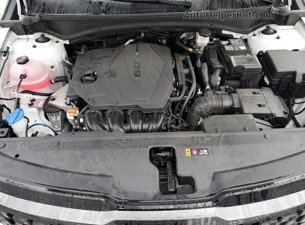 5XYK6CDF8TG333682 2026 KIA SPORTAGE White Սալոնի հետևի տեսք