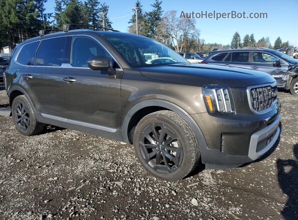 5XYP3DGC3PG403391 2023 KIA TELLURIDE Charcoal Delantero derecho