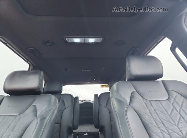 5XYP3DGC3RG460239 2024 KIA TELLURIDE Gray Vista de los asientos traseros