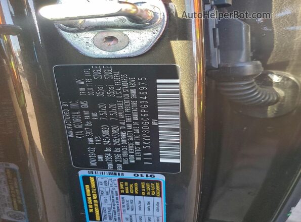5XYP3DGC6PG346975 2023 KIA TELLURIDE Charcoal Вид підкапотного простору