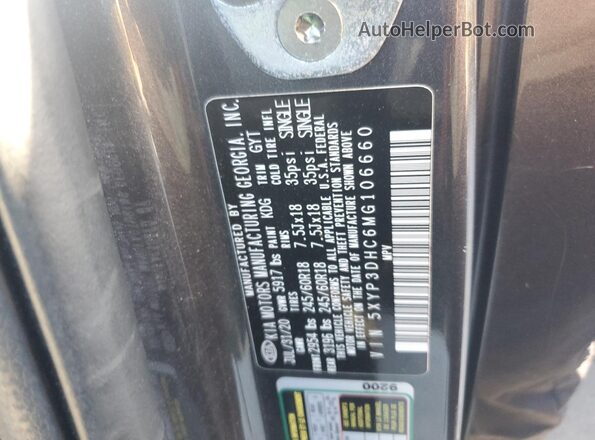 5XYP3DHC6MG106660 2021 KIA TELLURIDE Charcoal Vista de la etiqueta del VIN