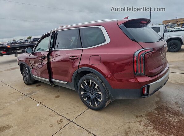 5XYP54GC3PG394833 2023 KIA TELLURIDE Burgundy Հետևի ձախ