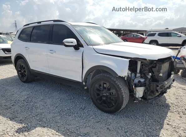 5XYP5DGC1RG442946 2024 KIA TELLURIDE White Front right