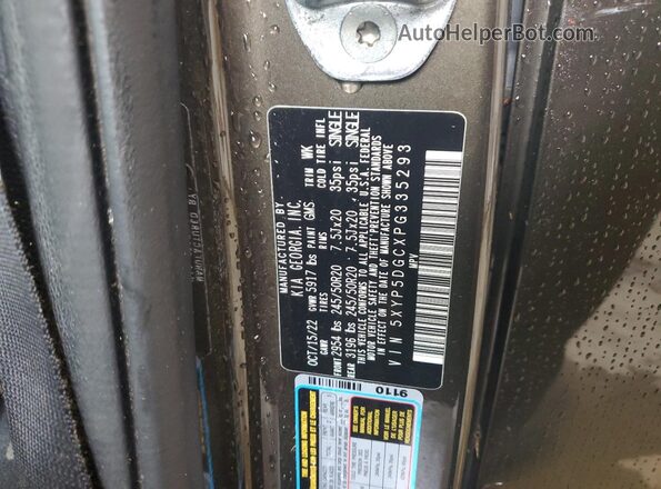 5XYP5DGCXPG335293 2023 KIA TELLURIDE Gray Vista de la etiqueta del VIN