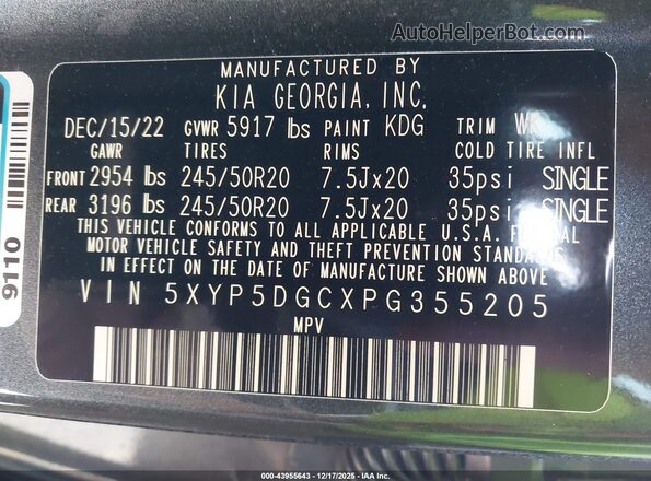 5XYP5DGCXPG355205 2023 KIA TELLURIDE Gray Vista del compartimento del motor