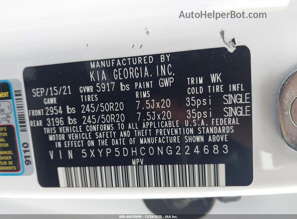 5XYP5DHC0NG224683 2022 KIA TELLURIDE White Vista del compartimento del motor