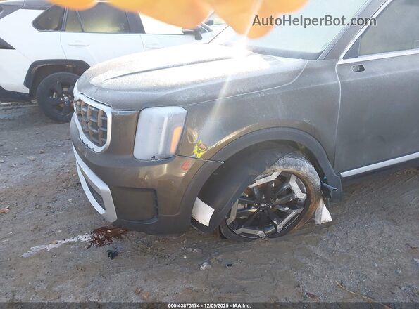 5XYP64GC8SG634819 2025 KIA TELLURIDE Brown Widok z przodu