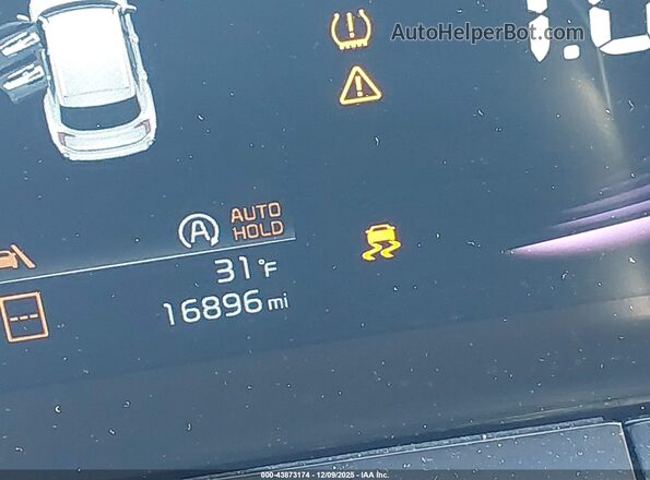 5XYP64GC8SG634819 2025 KIA TELLURIDE Brown 