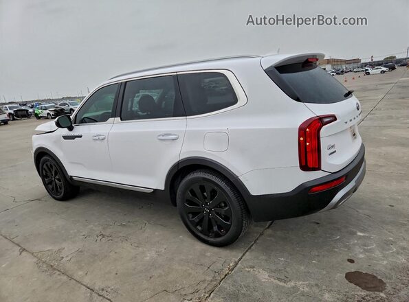 5XYP6DHC0MG144196 2021 KIA TELLURIDE White უკანა მარცხენა