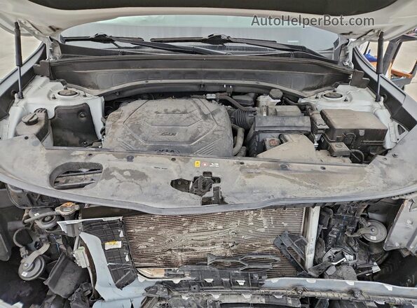 5XYP6DHC0MG144196 2021 KIA TELLURIDE White უკანა სალონის ხედი