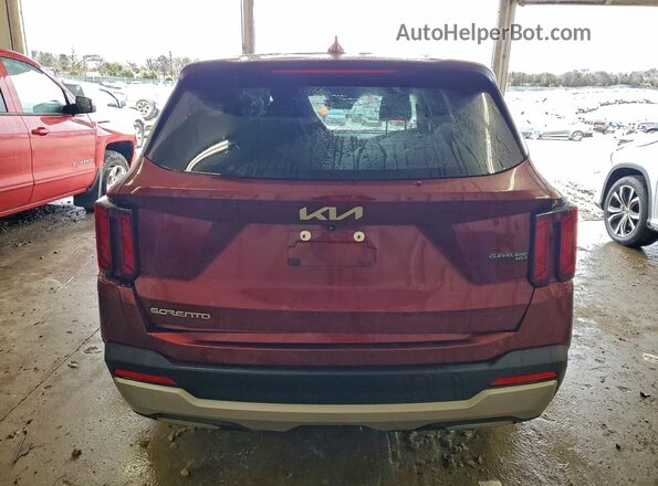 5XYRG4JC1RG260269 2024 KIA SORENTO Бордовый Вид сзади