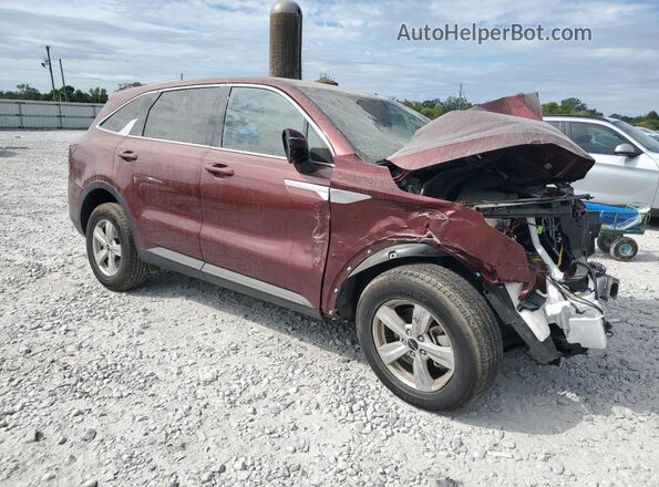 5XYRG4JC2RG283320 2024 KIA SORENTO Темно-бордовый Передняя правая четверть