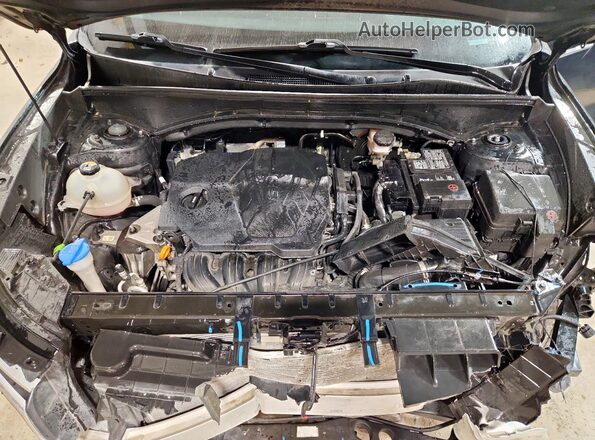 5XYRG4LCXPG167566 2023 KIA SORENTO Black 