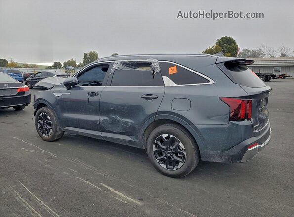 5XYRL4JC0RG291430 2024 KIA SORENTO Gray Հետևի ձախ