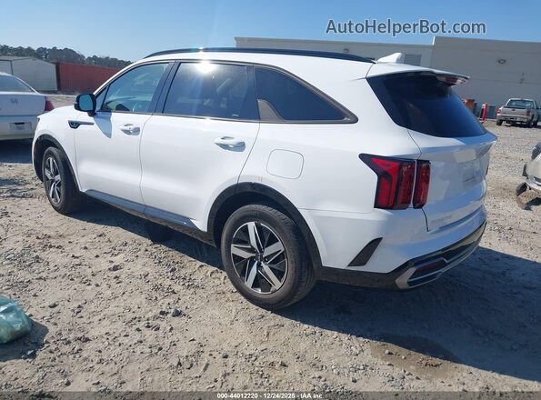 5XYRL4LC8PG172339 2023 KIA SORENTO White Tył lewy